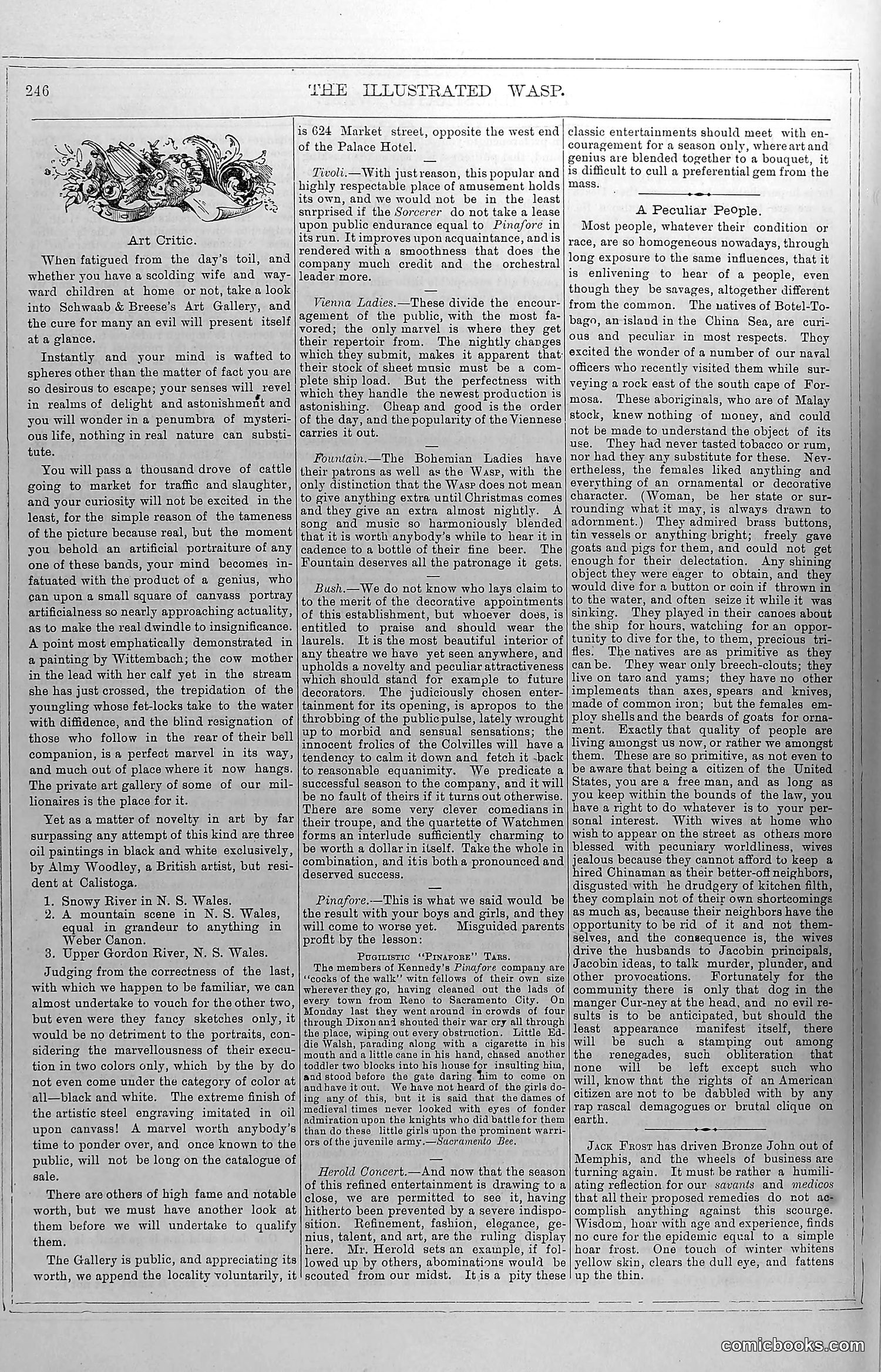 The Wasp — November 8, 1879 — page 7: The Wasp, 1879-11-08