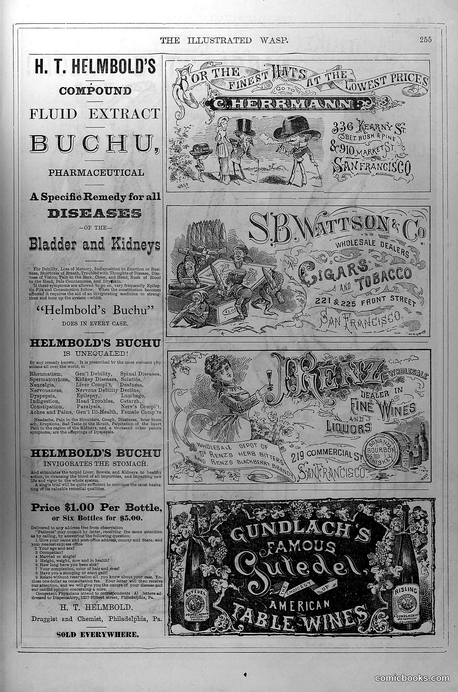 The Wasp — November 8, 1879 — page 16: The Wasp, 1879-11-08