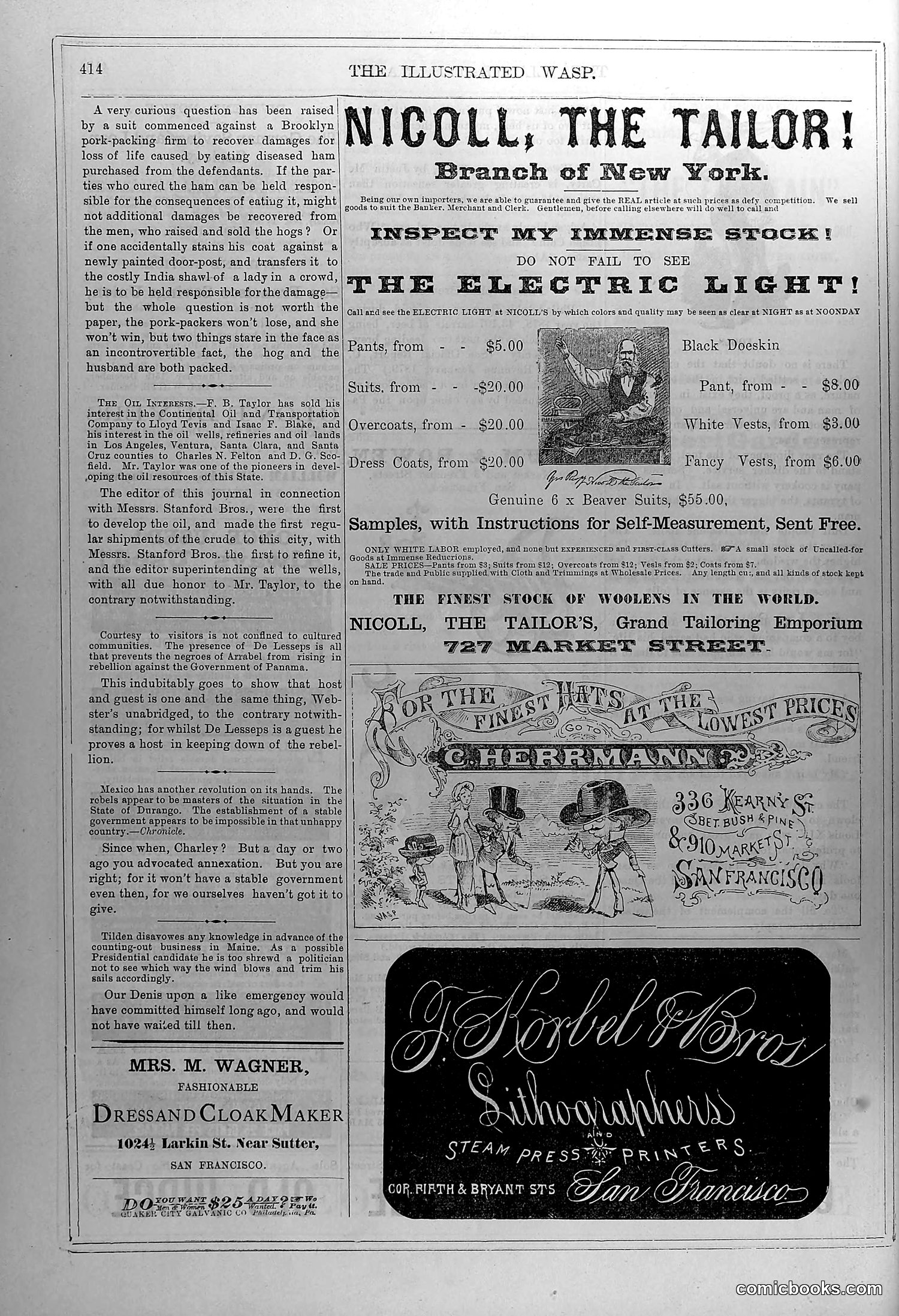 The Wasp — January 17, 1880 — page 13: The Wasp, 1880-01-17