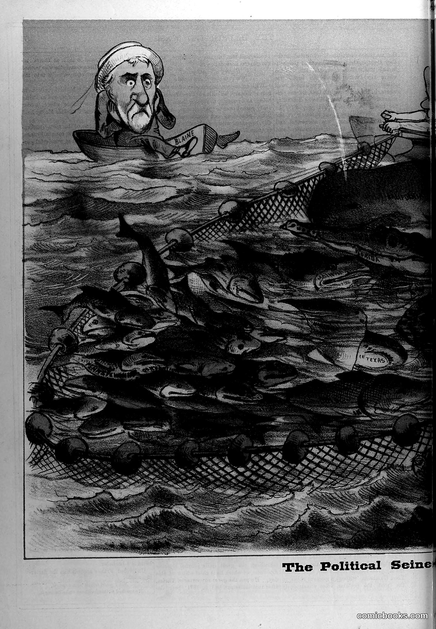 The Wasp — February 14, 1880 — page 11: The Wasp, 1880-02-14
