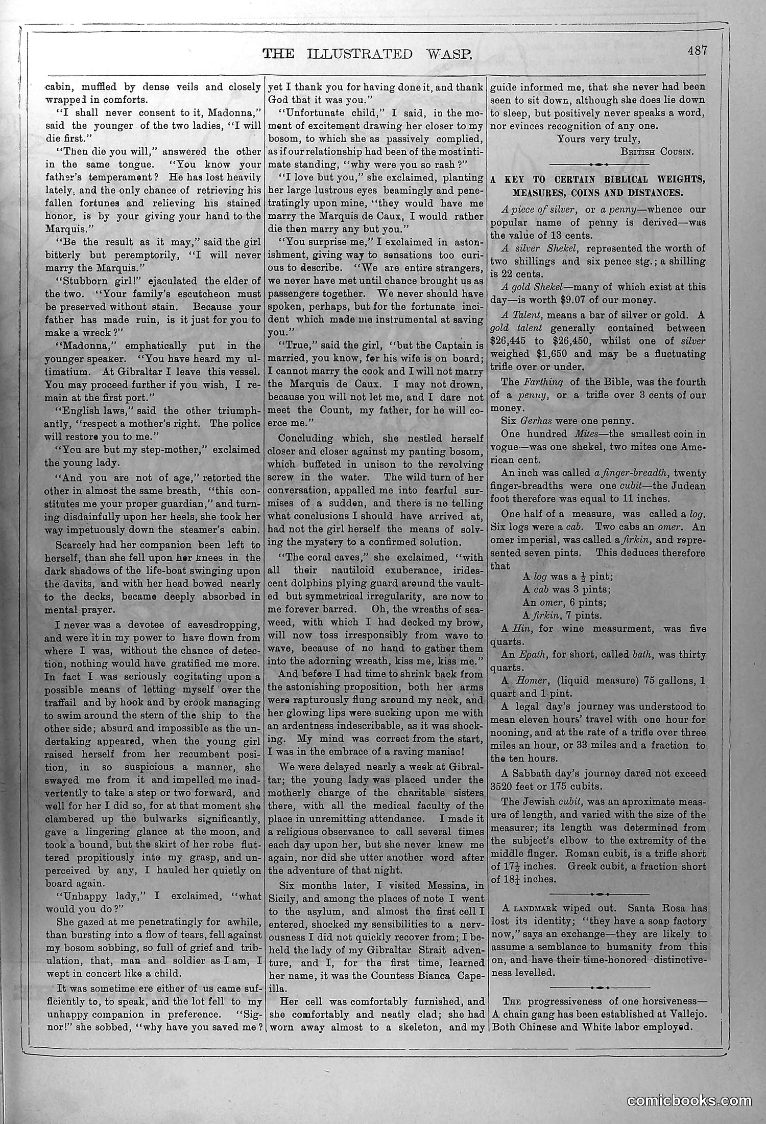 The Wasp — February 21, 1880 — page 8: The Wasp, 1880-02-21