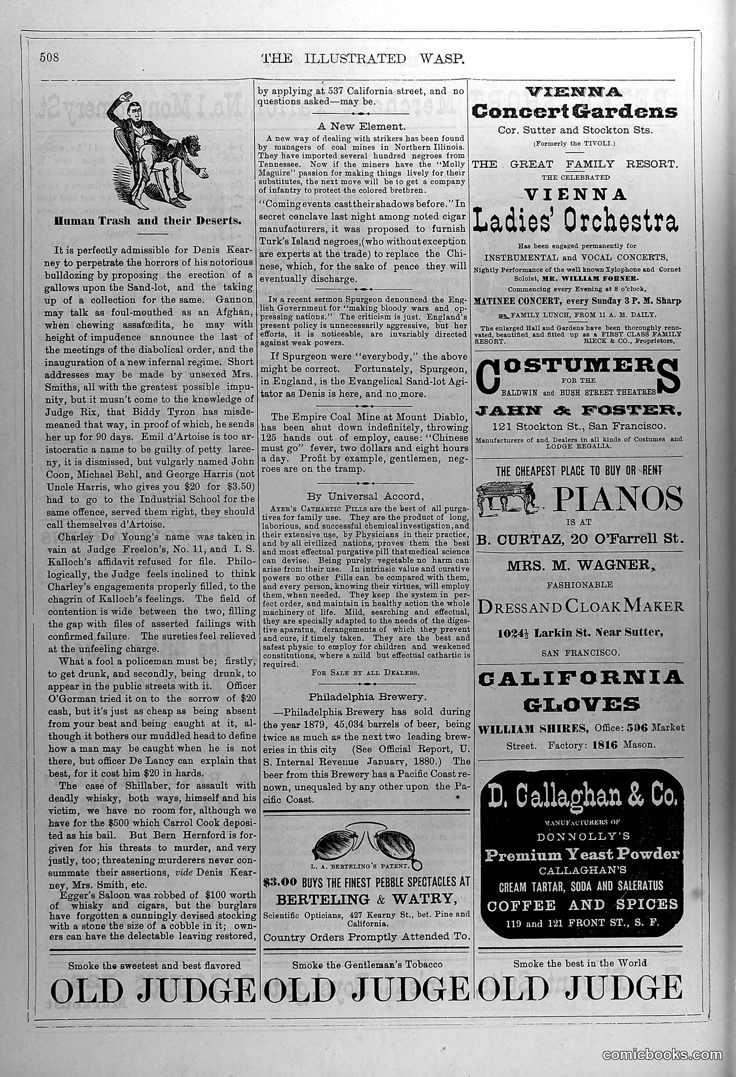 The Wasp — February 28, 1880 — page 13: The Wasp, 1880-02-28