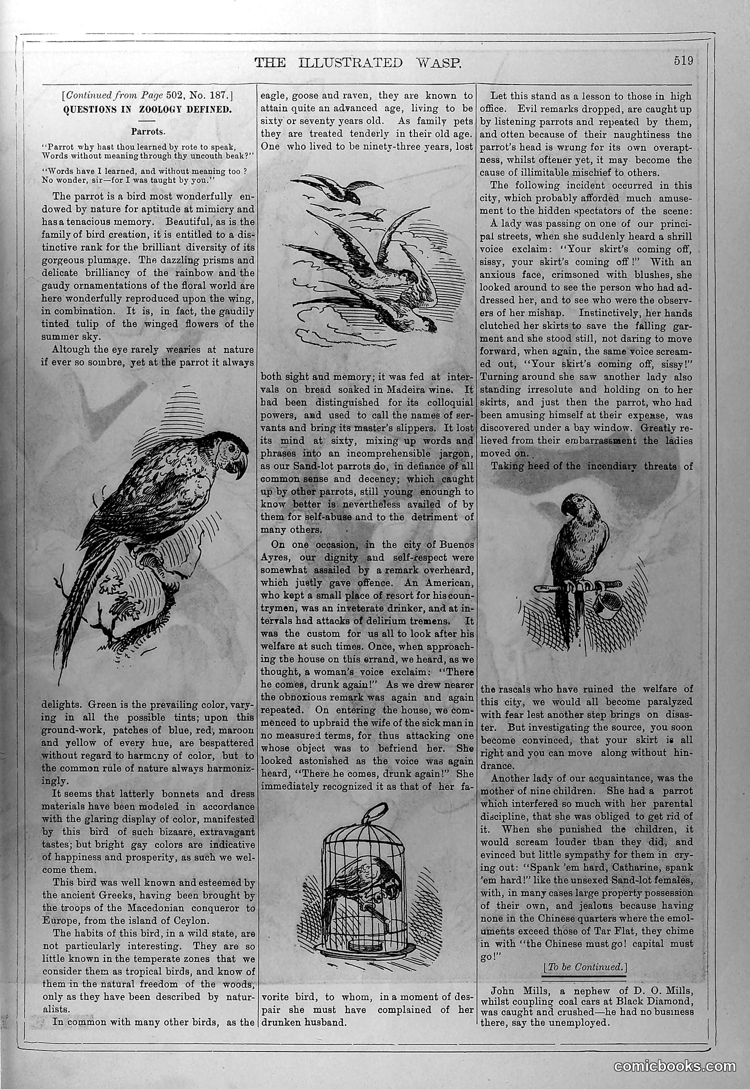 The Wasp — March 6, 1880 — page 8: The Wasp, 1880-03-06