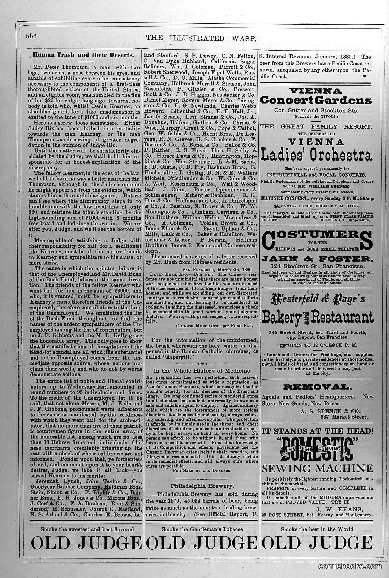 The Wasp — March 12, 1880 — page 13: The Wasp, 1880-03-12