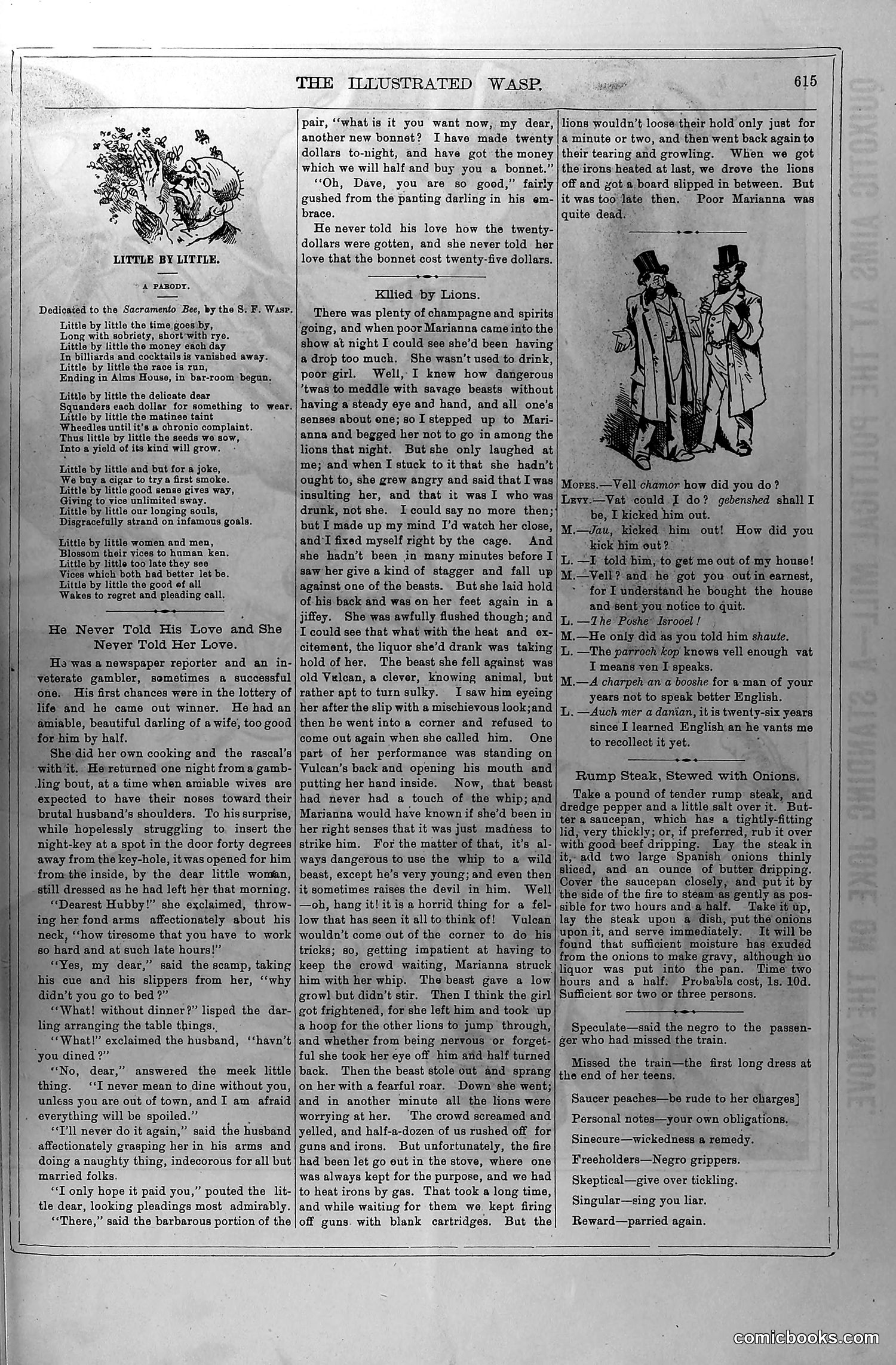 The Wasp — April 17, 1880 — page 8: The Wasp, 1880-04-17