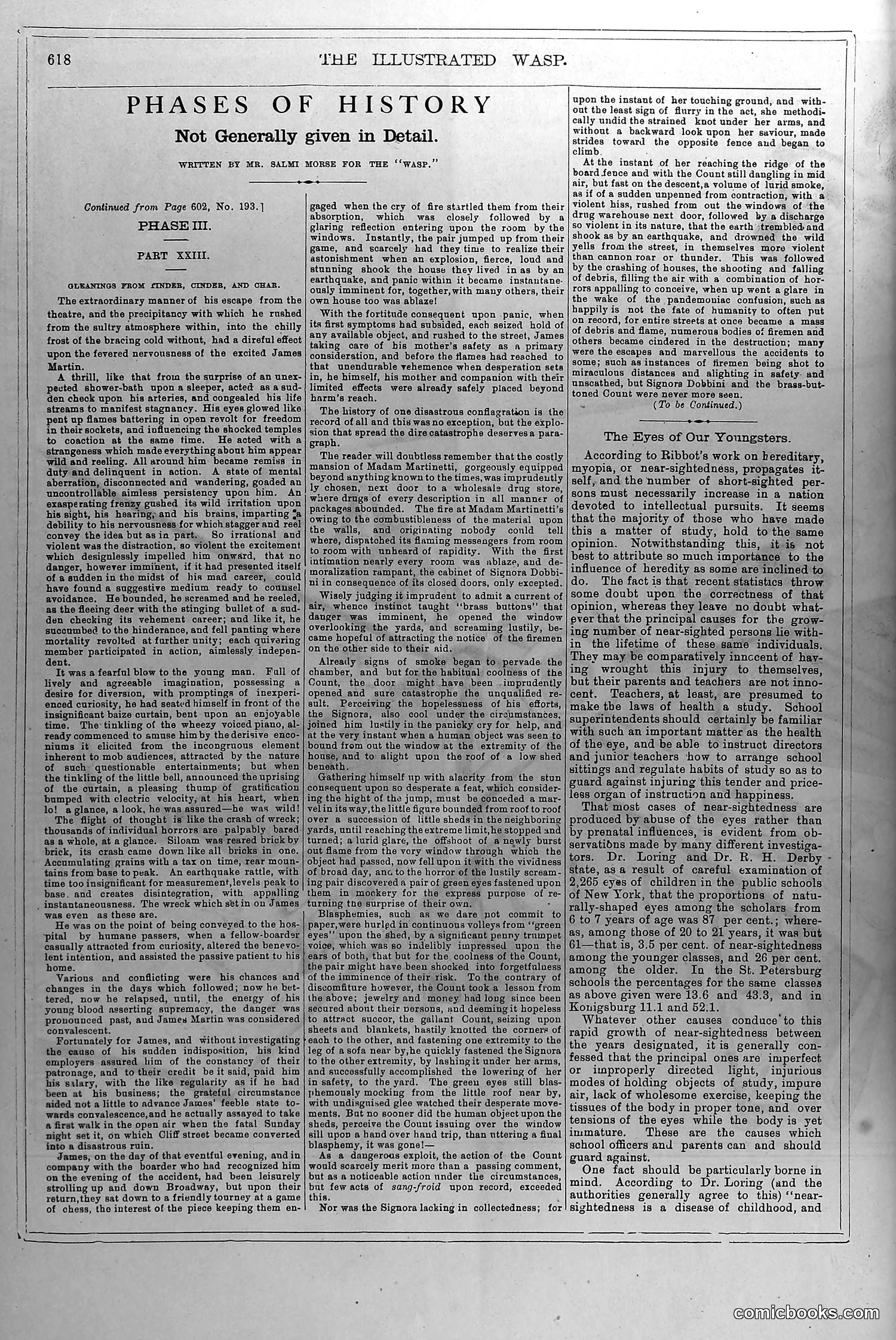The Wasp — April 17, 1880 — page 11: The Wasp, 1880-04-17