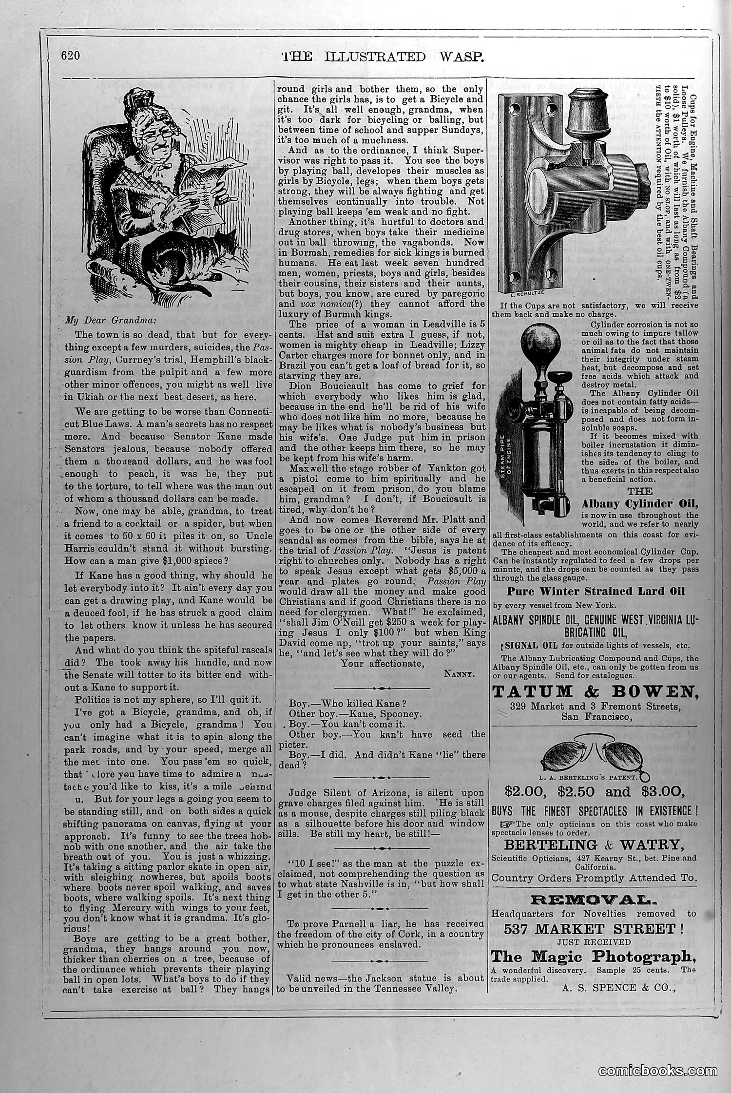 The Wasp — April 17, 1880 — page 13: The Wasp, 1880-04-17