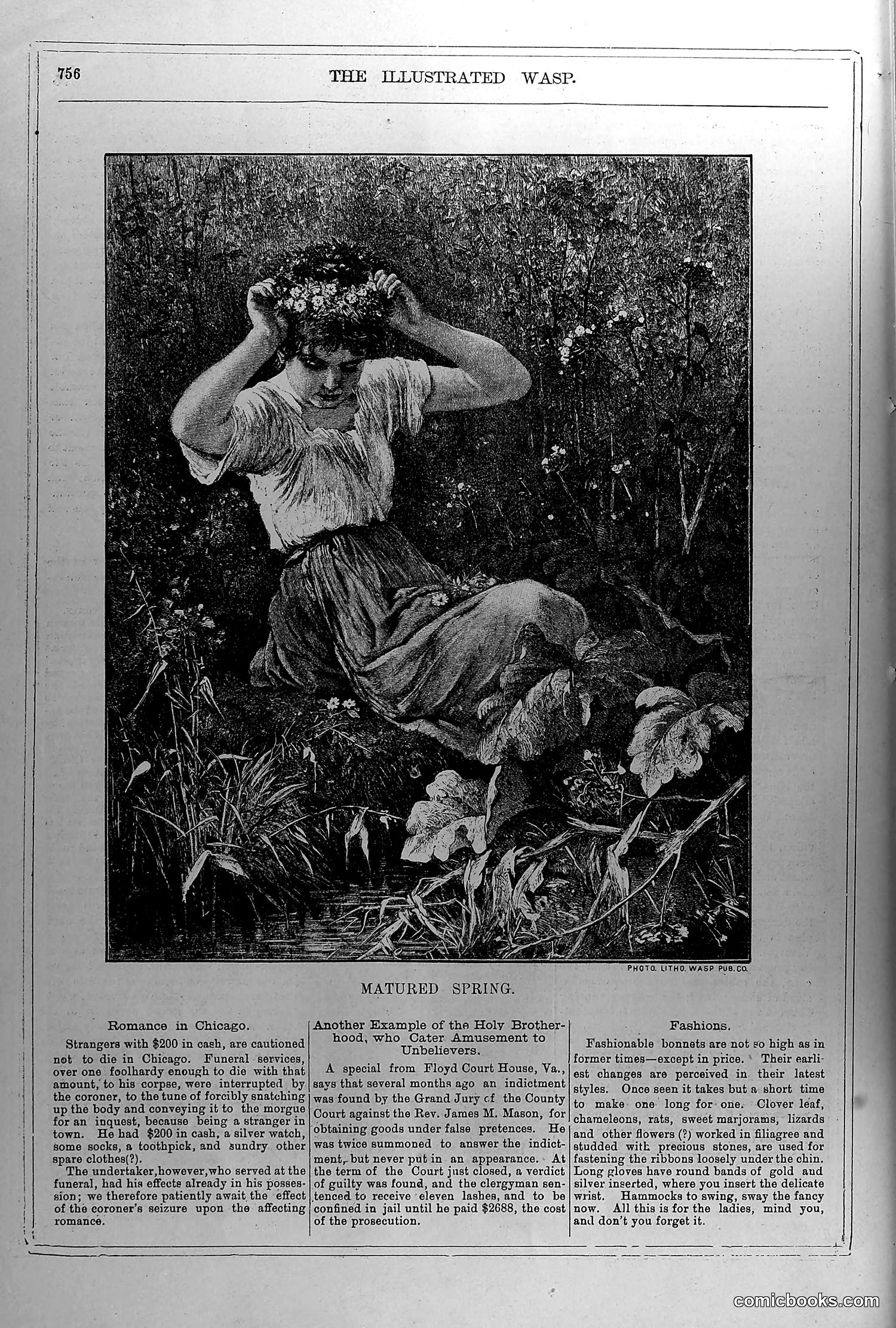 The Wasp — June 19, 1880 — page 5: The Wasp, 1880-06-19