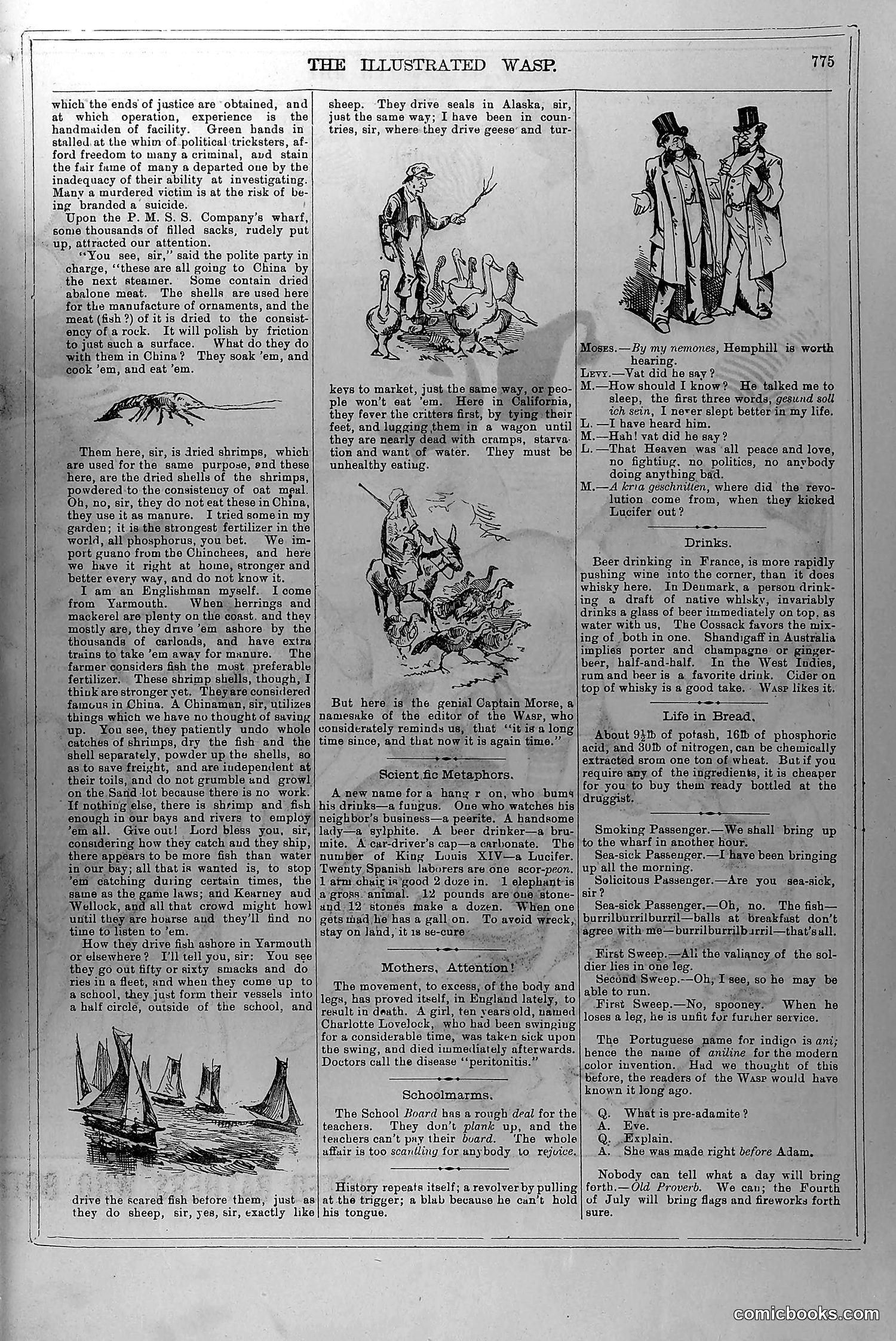 The Wasp — June 26, 1880 — page 8: The Wasp, 1880-06-26
