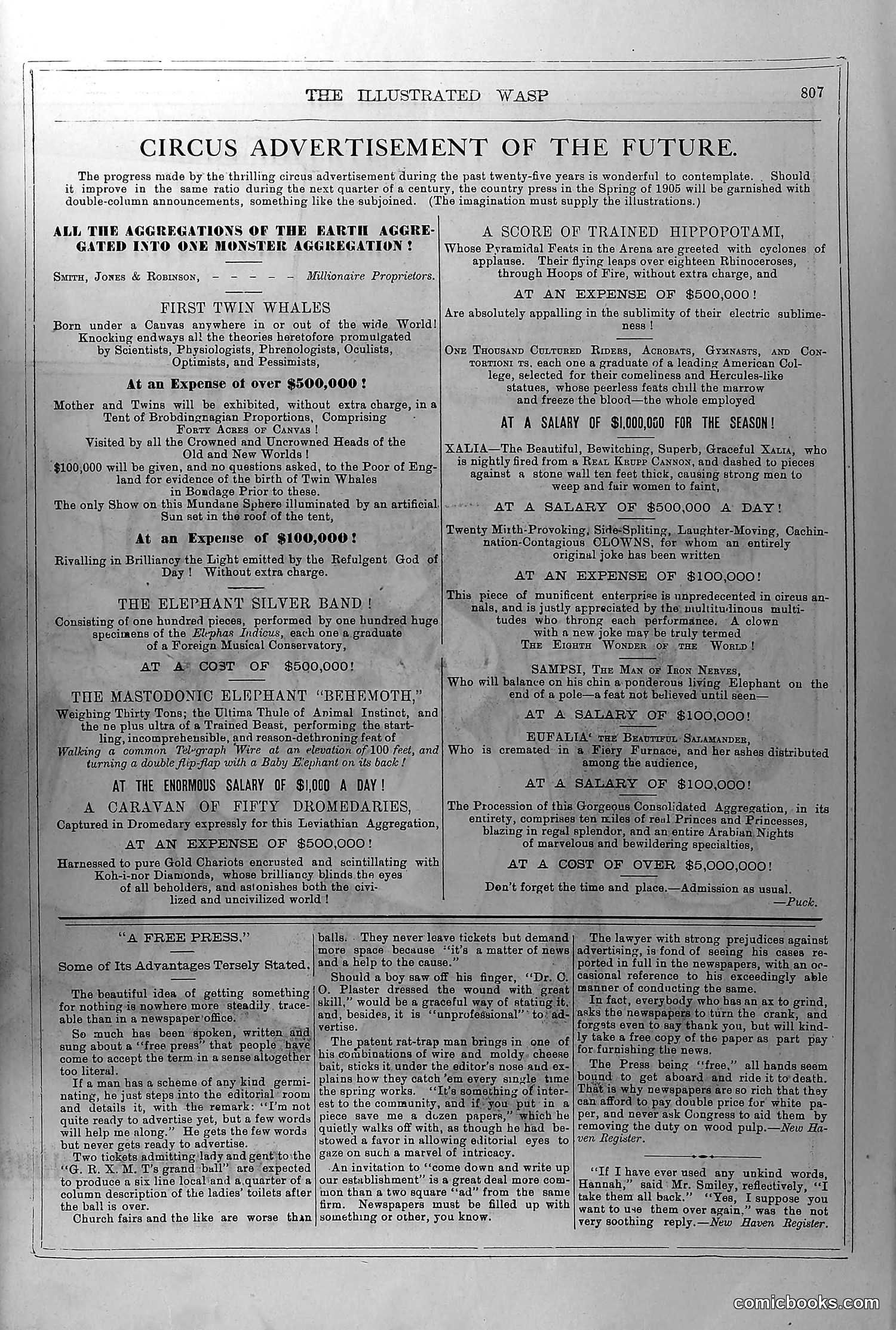 The Wasp — July 10, 1880 — page 8: The Wasp, 1880-07-10