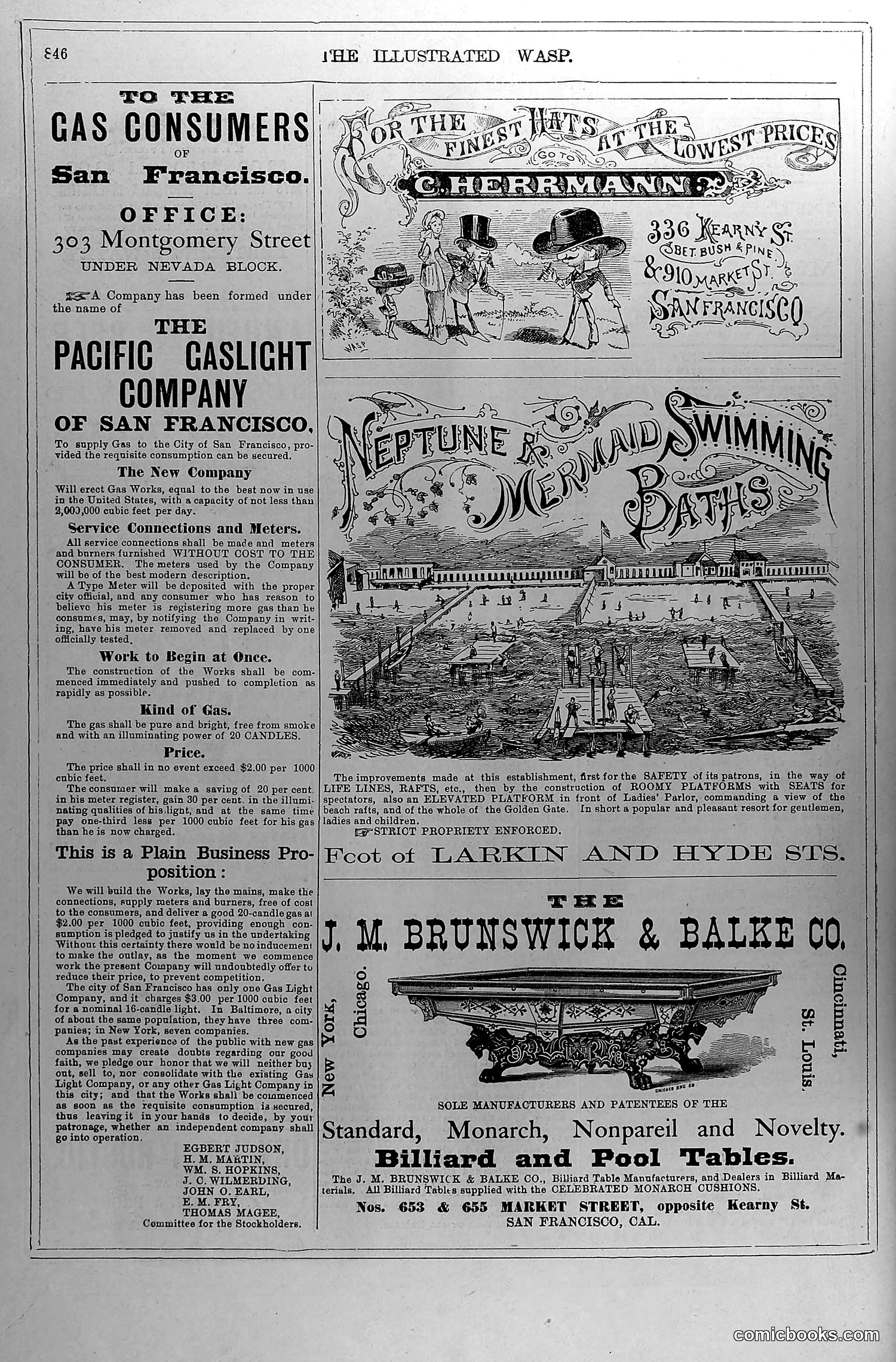 The Wasp — July 24, 1880 — page 11: The Wasp, 1880-07-24