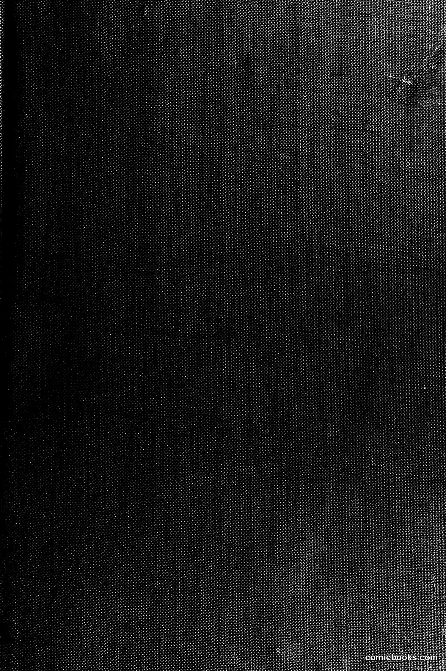 The Wasp — 1878 — page 2: The Wasp, 1878