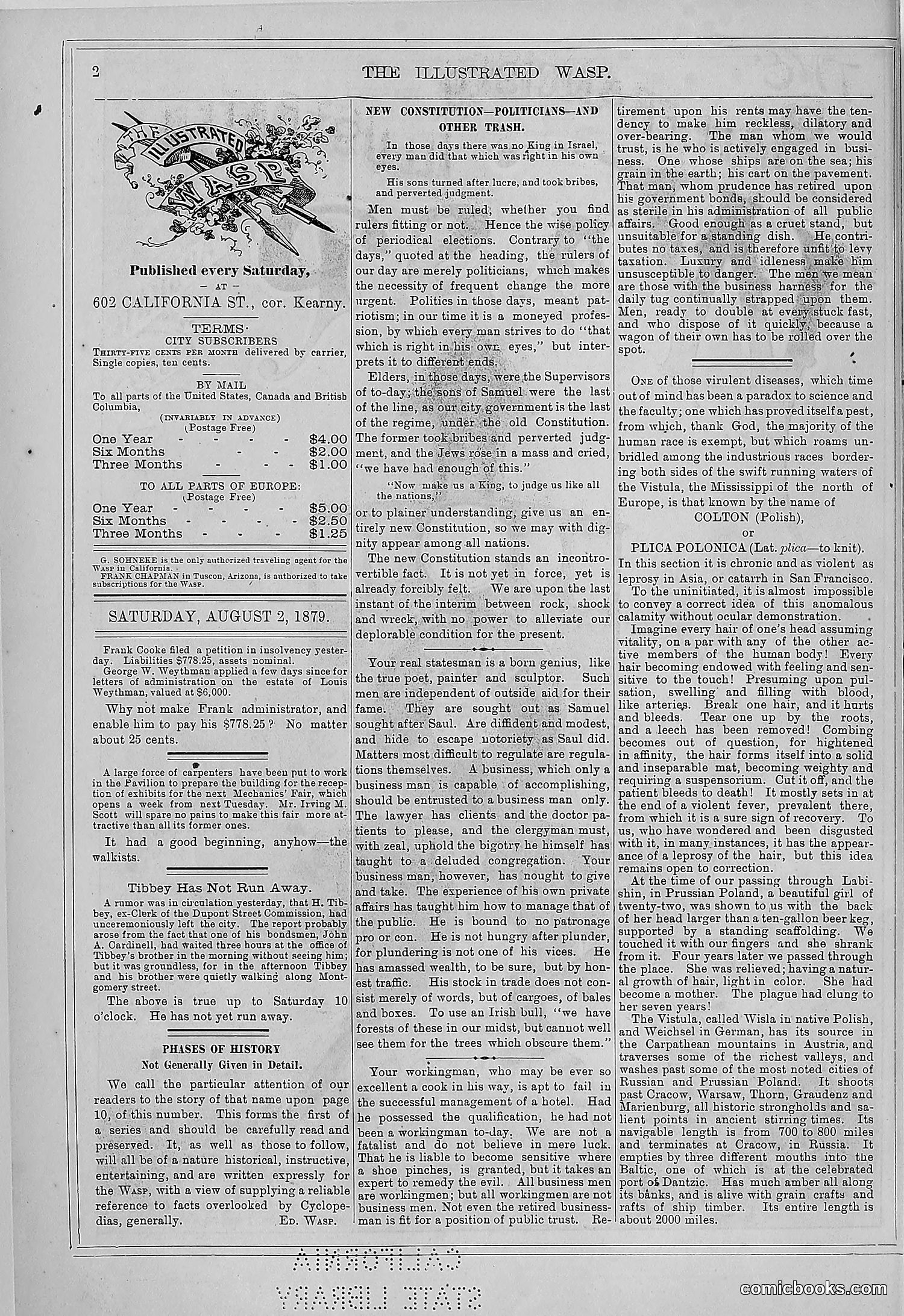 The Wasp — 1879 — page 11: The Wasp, 1879