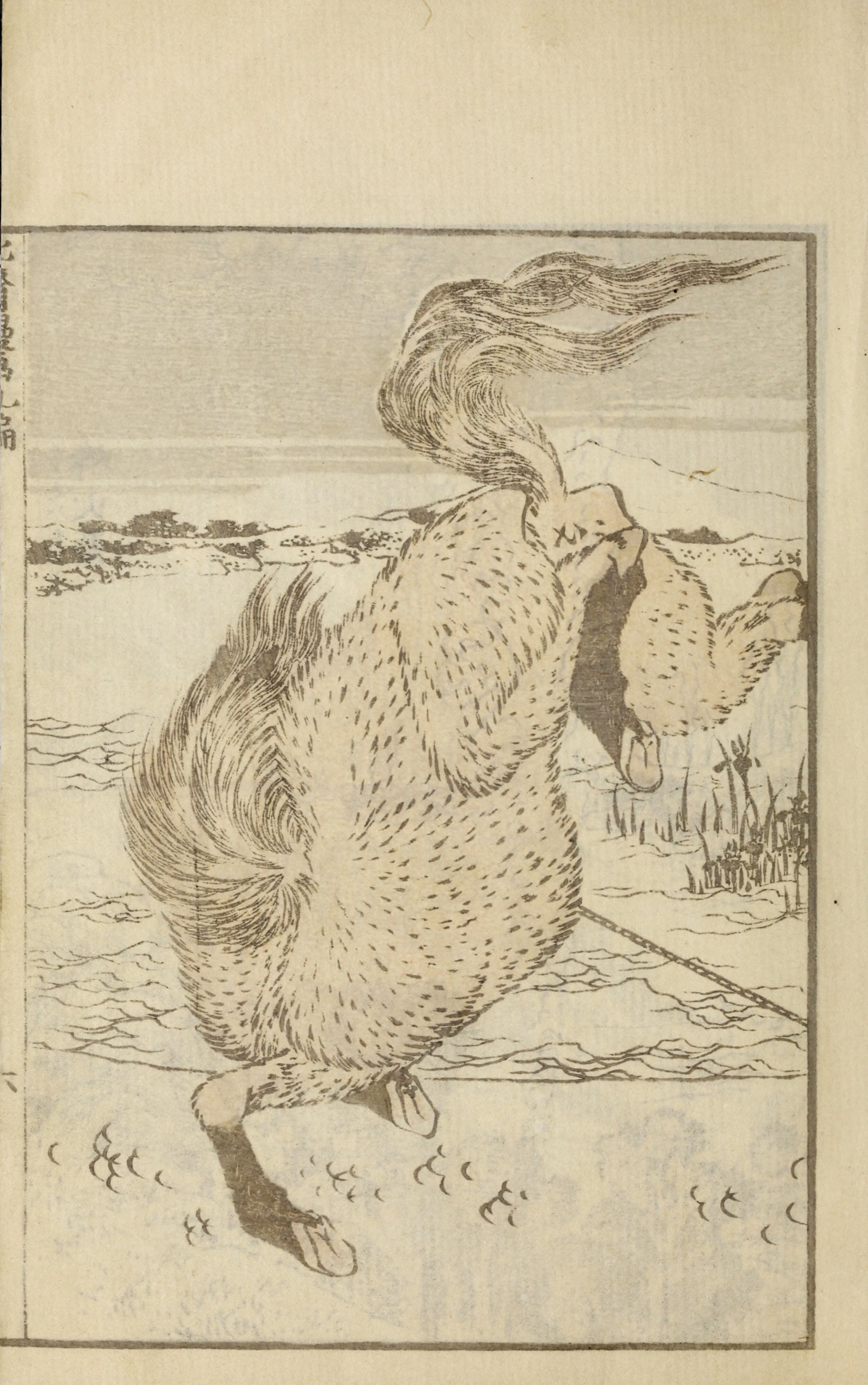 Hokusai Manga #Vol. 9 (1878, Public Domain — Edo/Meiji Japan) — page 15 of 40
